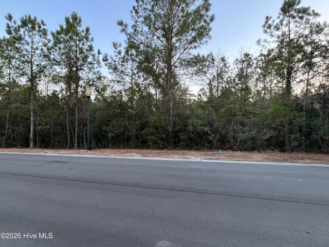 Land for sale in Shallotte, Brunswick County