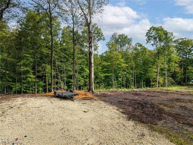 Land for sale in Wadsworth, Ohio