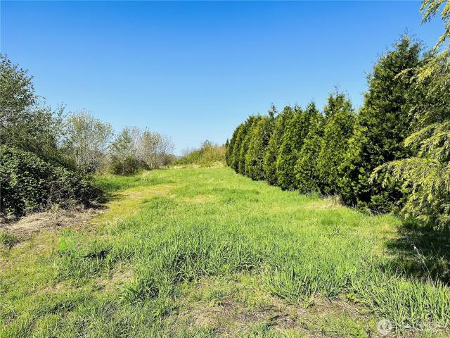 Land for sale in Mossyrock, Washington