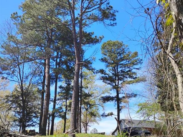 Land for sale in Fannin, Texas