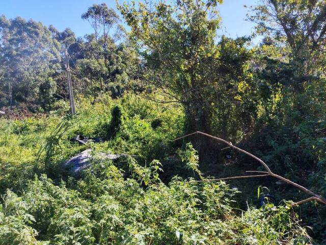 Land for sale in Durban