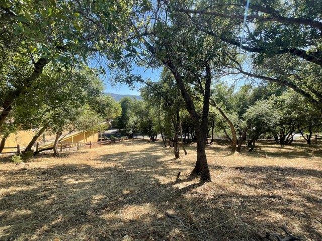 Land for sale in Angels Camp, California