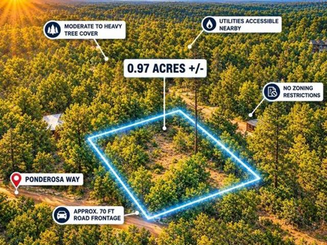 Land for sale in Pagosa Springs, Archuleta County