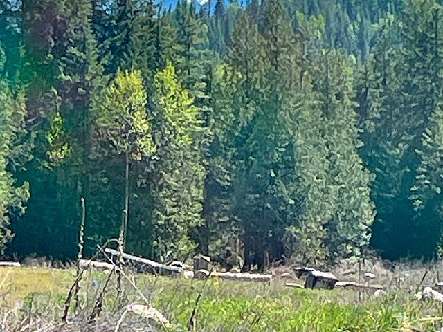 Land for sale in Trail, British Columbia