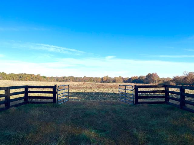 Land for sale in Tennessee
