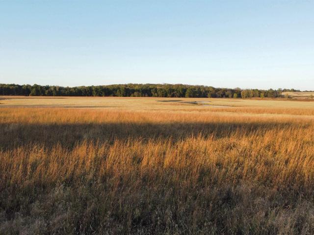 Farm for sale in Brighton, Iowa