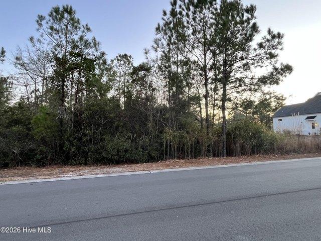Land for sale in Ash, North Carolina
