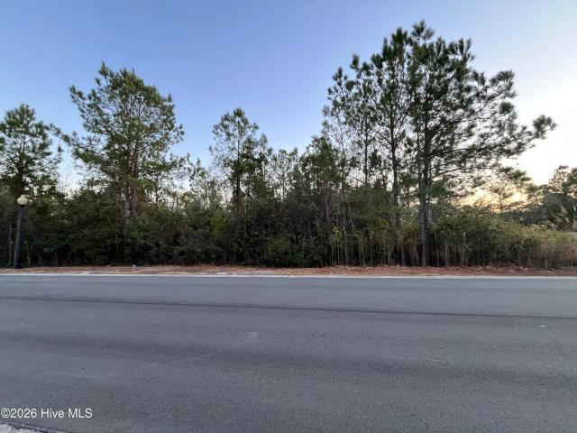 Land for sale in Shallotte, Brunswick County
