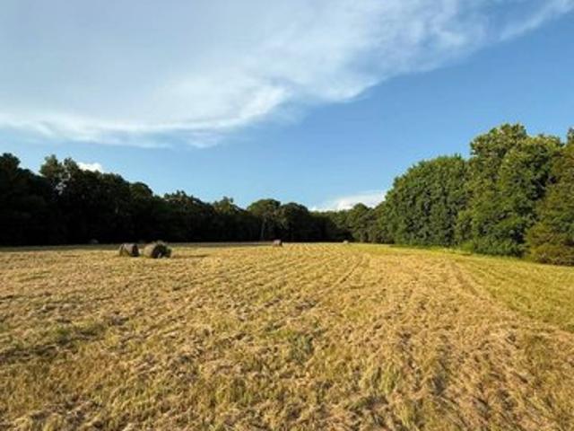 Land for sale in Ark