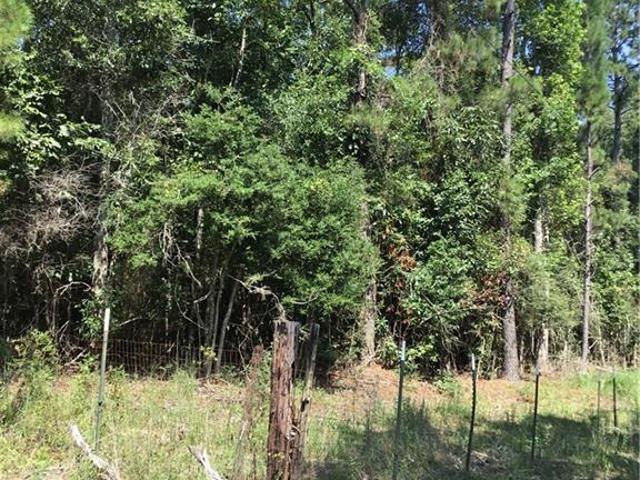 Land for sale in Franklinton, Louisiana