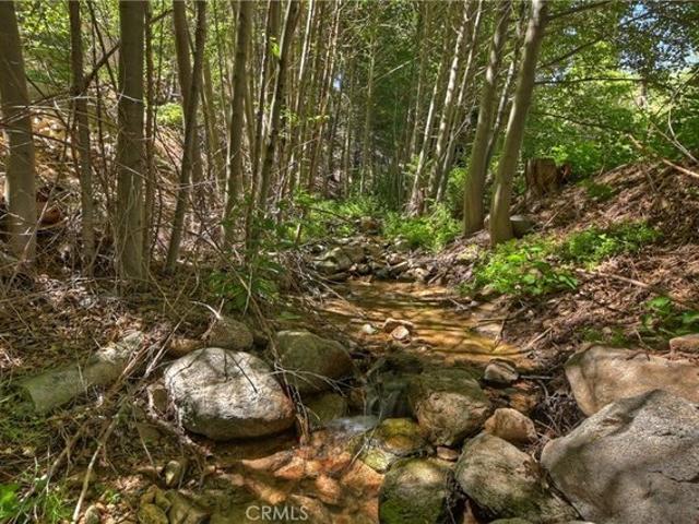 Land for sale in Cedar Glen, California