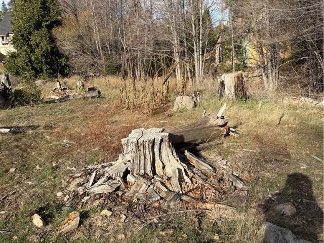 Land for sale in Cedar Glen, California