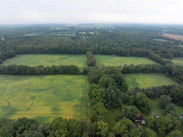 Land for sale in Albion, Calhoun County