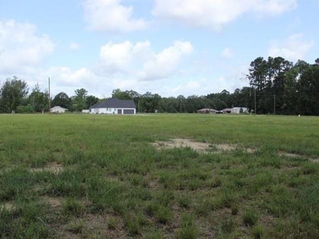 Land for sale in Independence, Louisiana