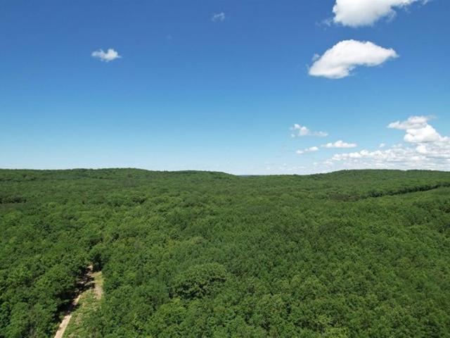 Land for sale in Lake City, Michigan