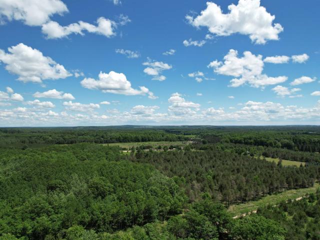 Land for sale in Michigan