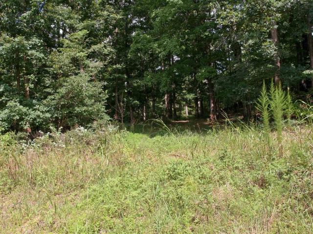 Land for sale in Alabama