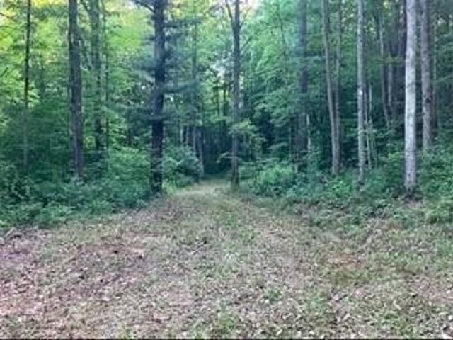 Land for sale in Van Etten, New York