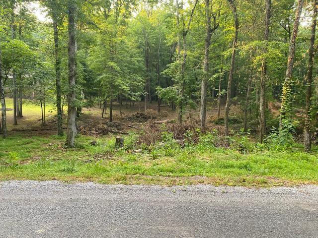 Land for sale in Tennessee