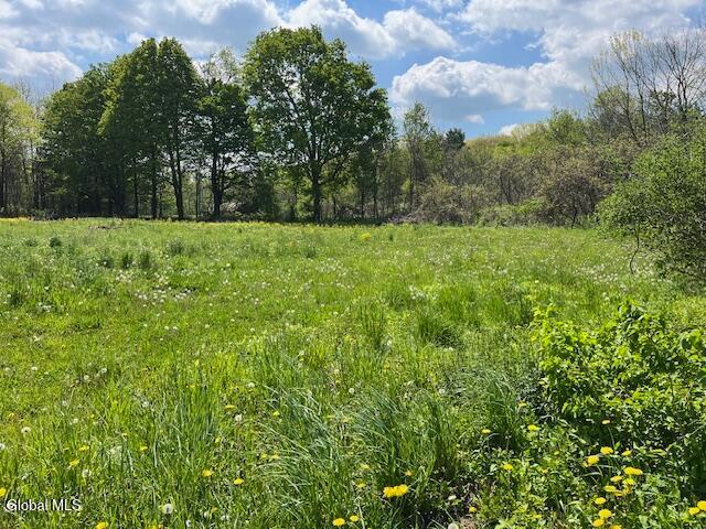 Land for sale in Carlisle, New York