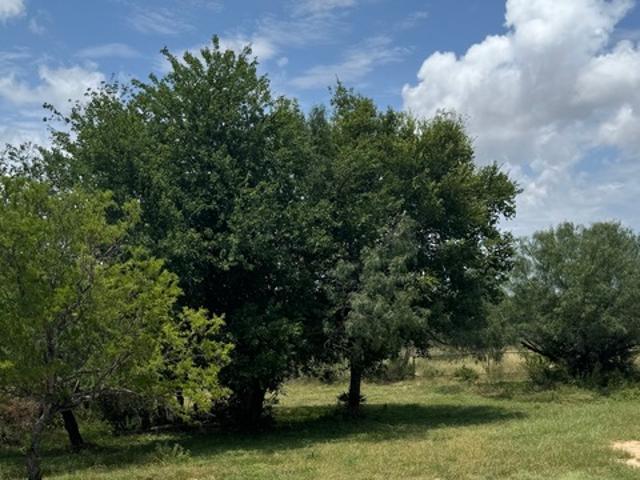 Land for sale in Medina, Texas