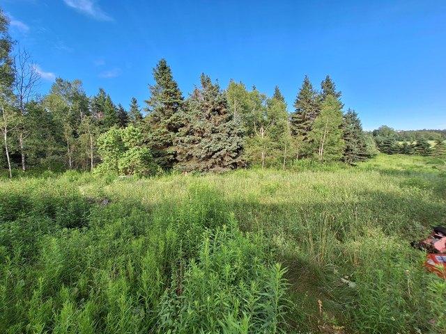 House for sale in Easton, Maine