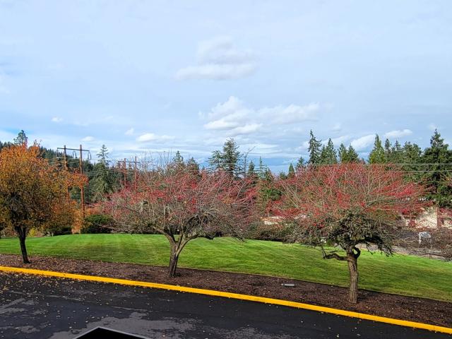 Condo for sale in Oregonia