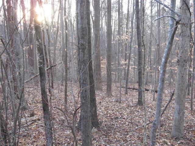 Land for sale in Alamance, North Carolina