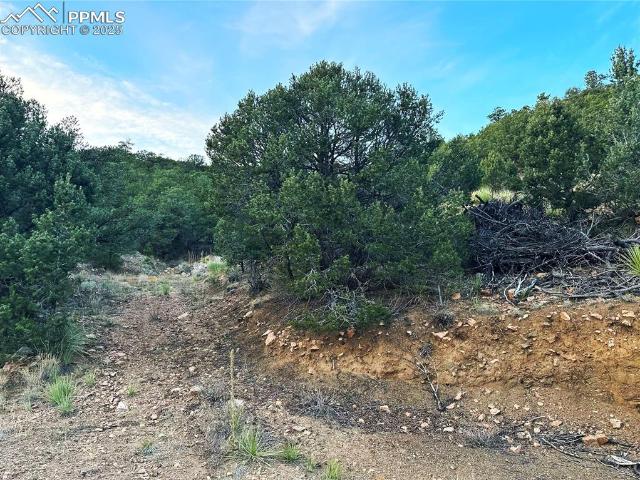 Land for sale in Custer, Colorado