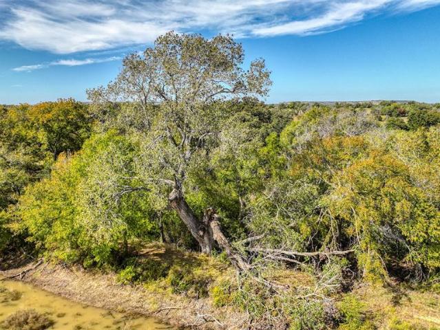 Land for sale in Hamilton, Texas