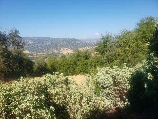 Land for sale in Tollhouse, California