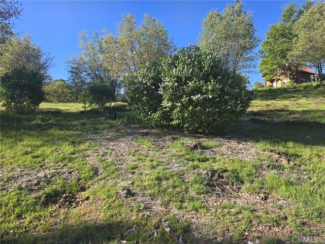 Land for sale in Cedar Glen, California