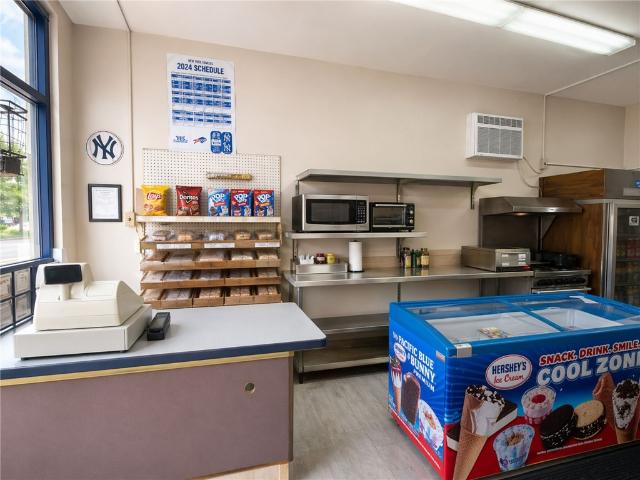 Commercial for sale in Geneva, New York