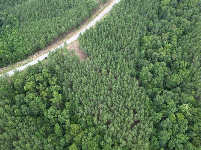 Land for sale in Tennessee