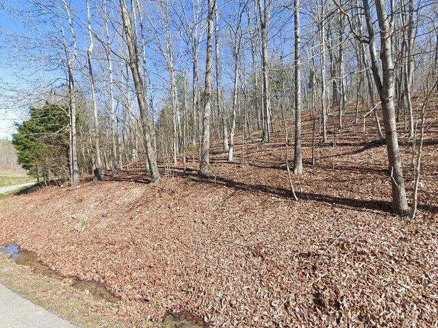 Land for sale in Blue Springs, East Tennessee