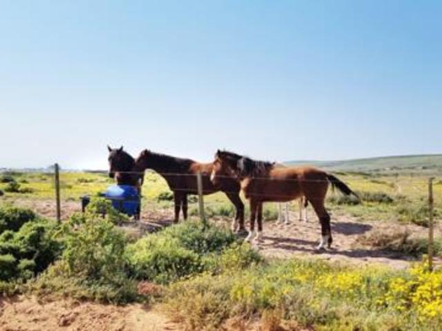 Land for sale in Western Cape