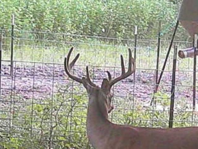 Farm for sale in Weimar, Texas