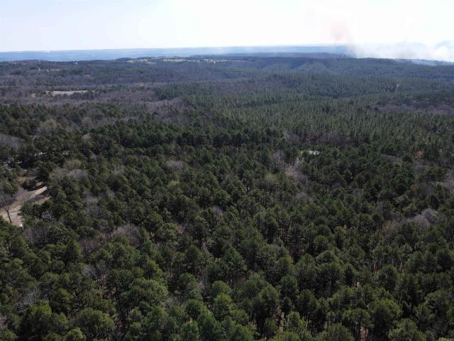 Land for sale in Clinton, Van Buren County