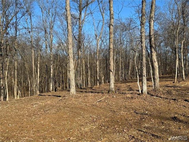 House for sale in Moscow Mills, Missouri