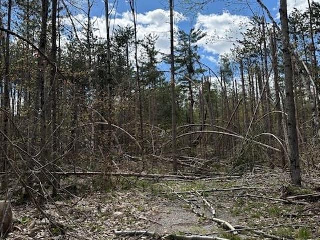 Office for sale in Selwyn, Ontario