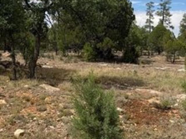 Land for sale in Happy Jack, Arizona