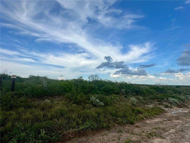 Land for sale in George West, Texas