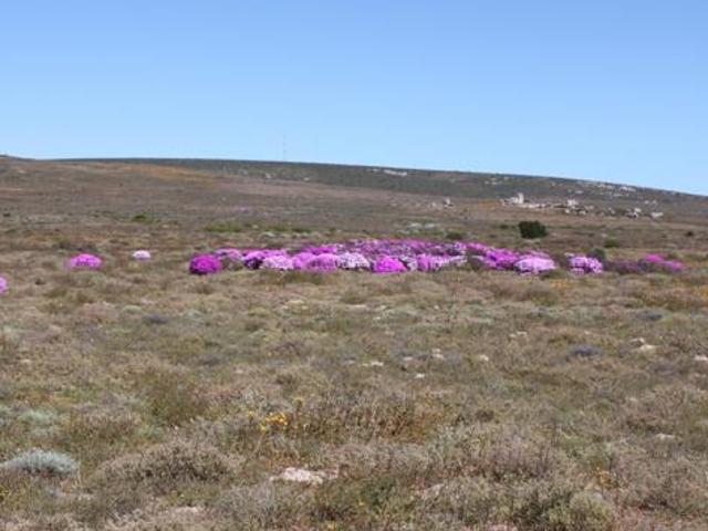 Land for sale in Western Cape