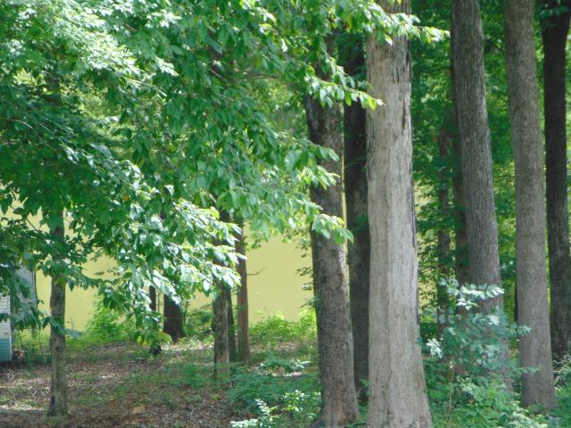 Land for sale in Tennessee