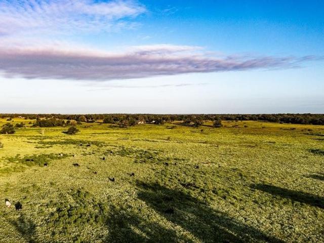 Farm for sale in Lexington, Texas