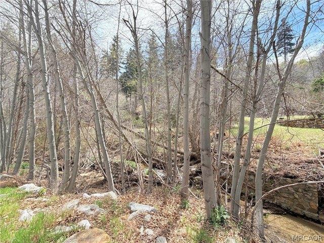 Land for sale in Cedar Glen, California