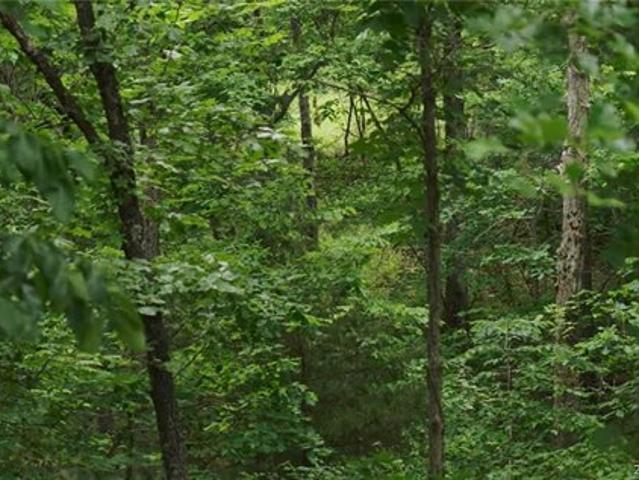 Land for sale in Linn Creek, Missouri