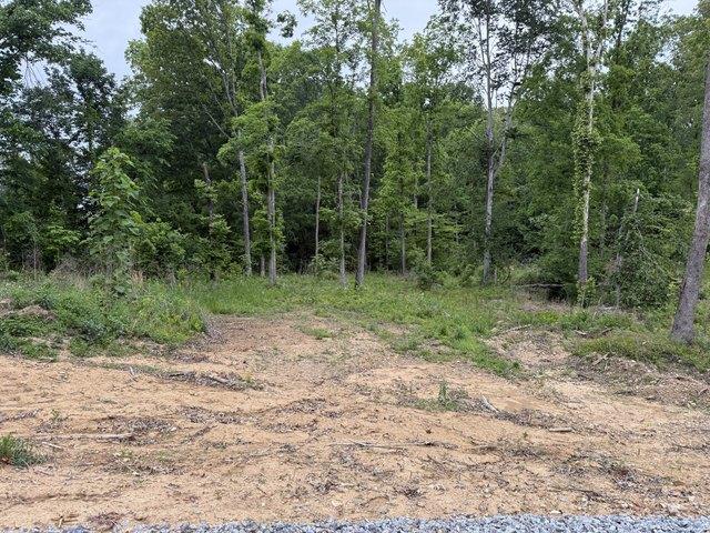 Land for sale in Tennessee