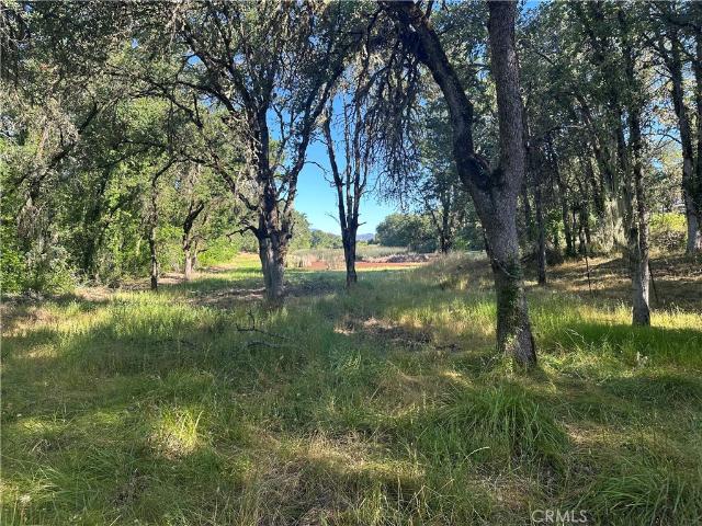 Land for sale in Lake, California