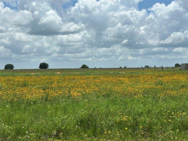 Land for sale in Sealy, Texas